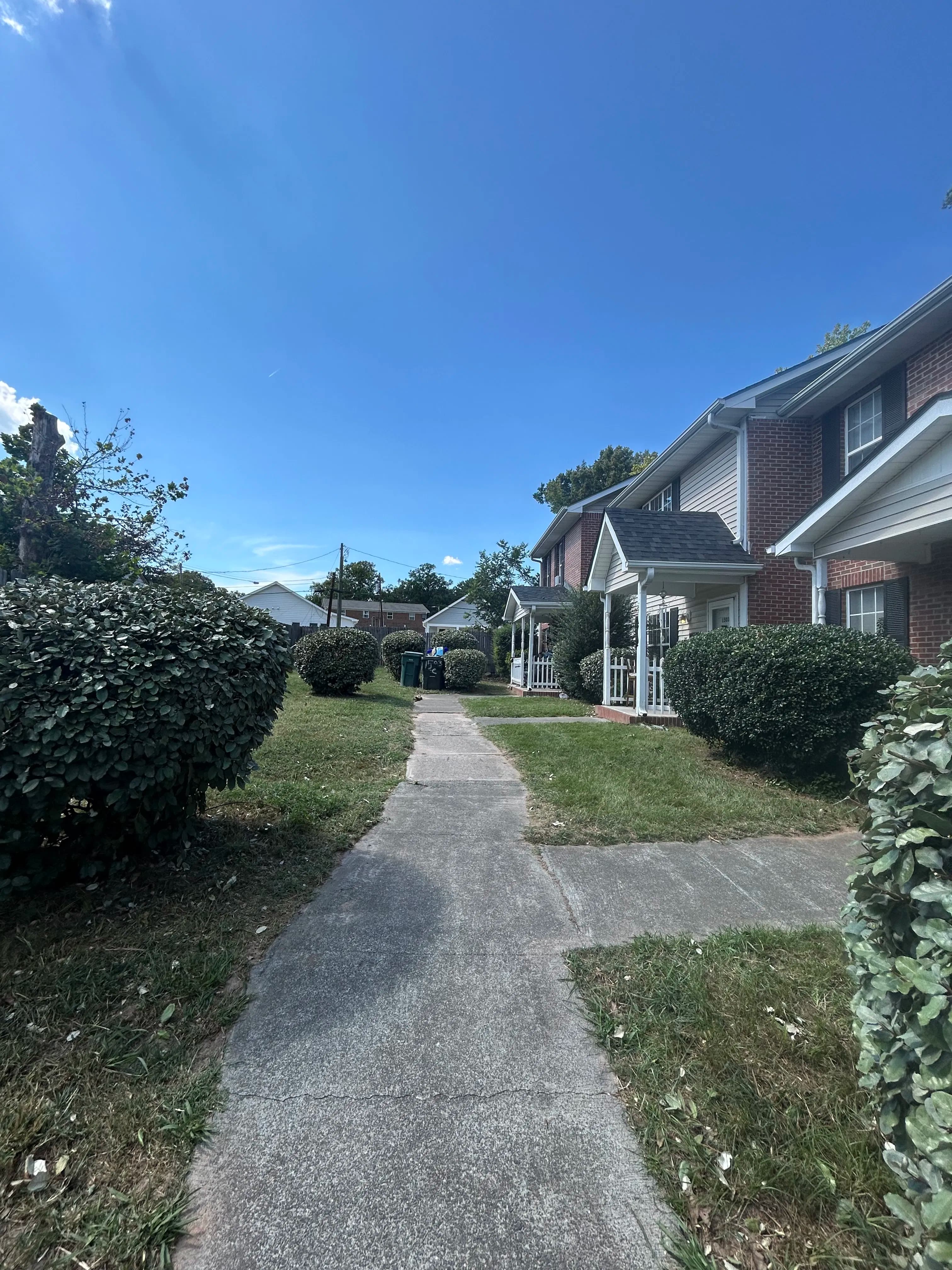 Pathway through landscaped homes under a clear blue sky with hedges on both sides.