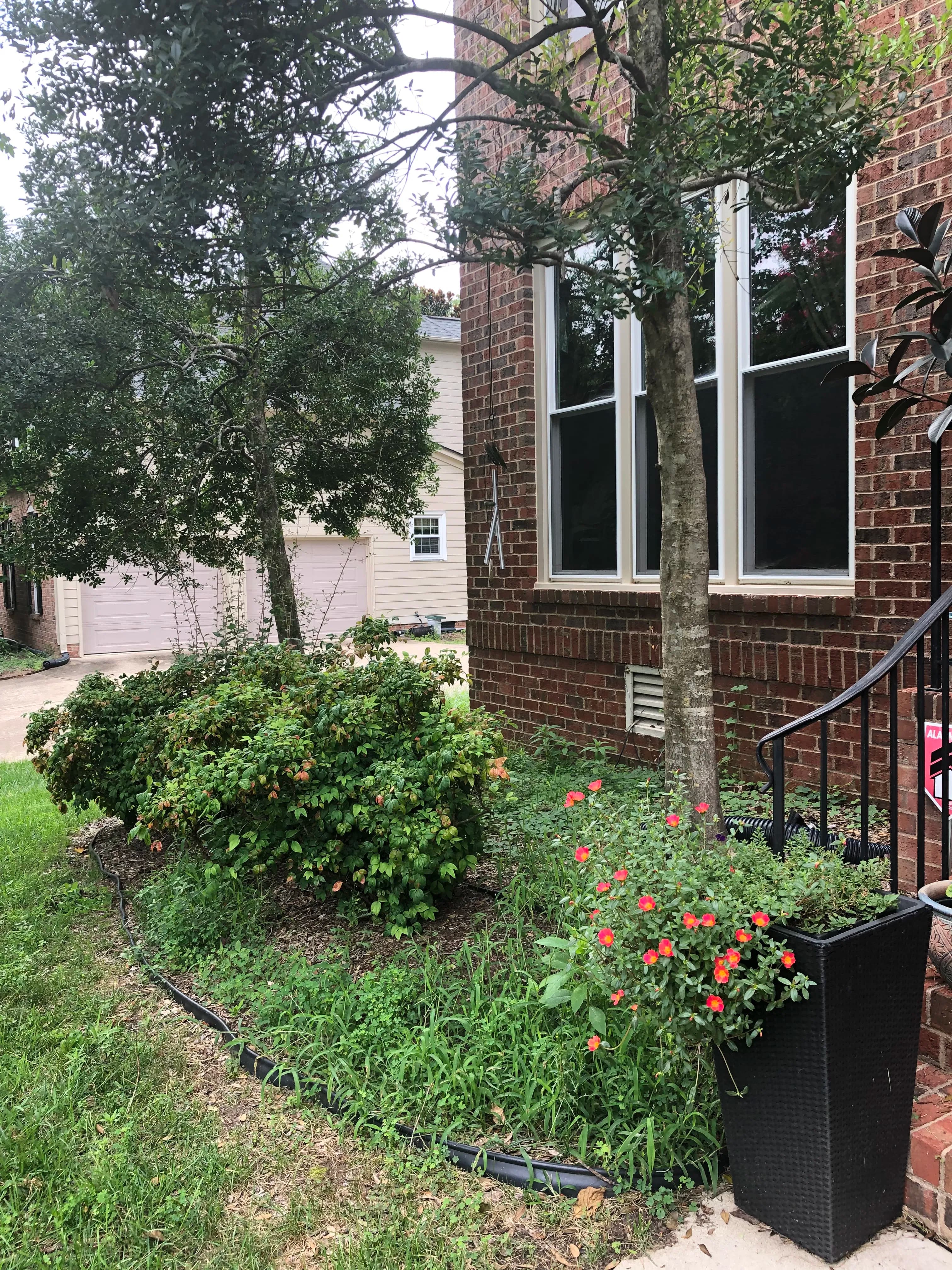 Lush garden with colorful flowers and shrubs alongside a brick house and pathway.