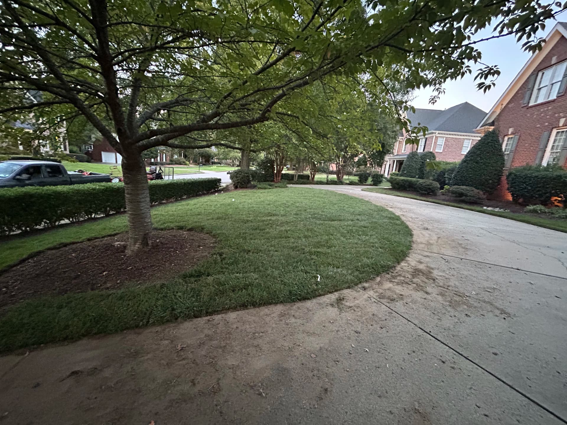 Fresh Sod Install That Made This Yard Sharp Again image