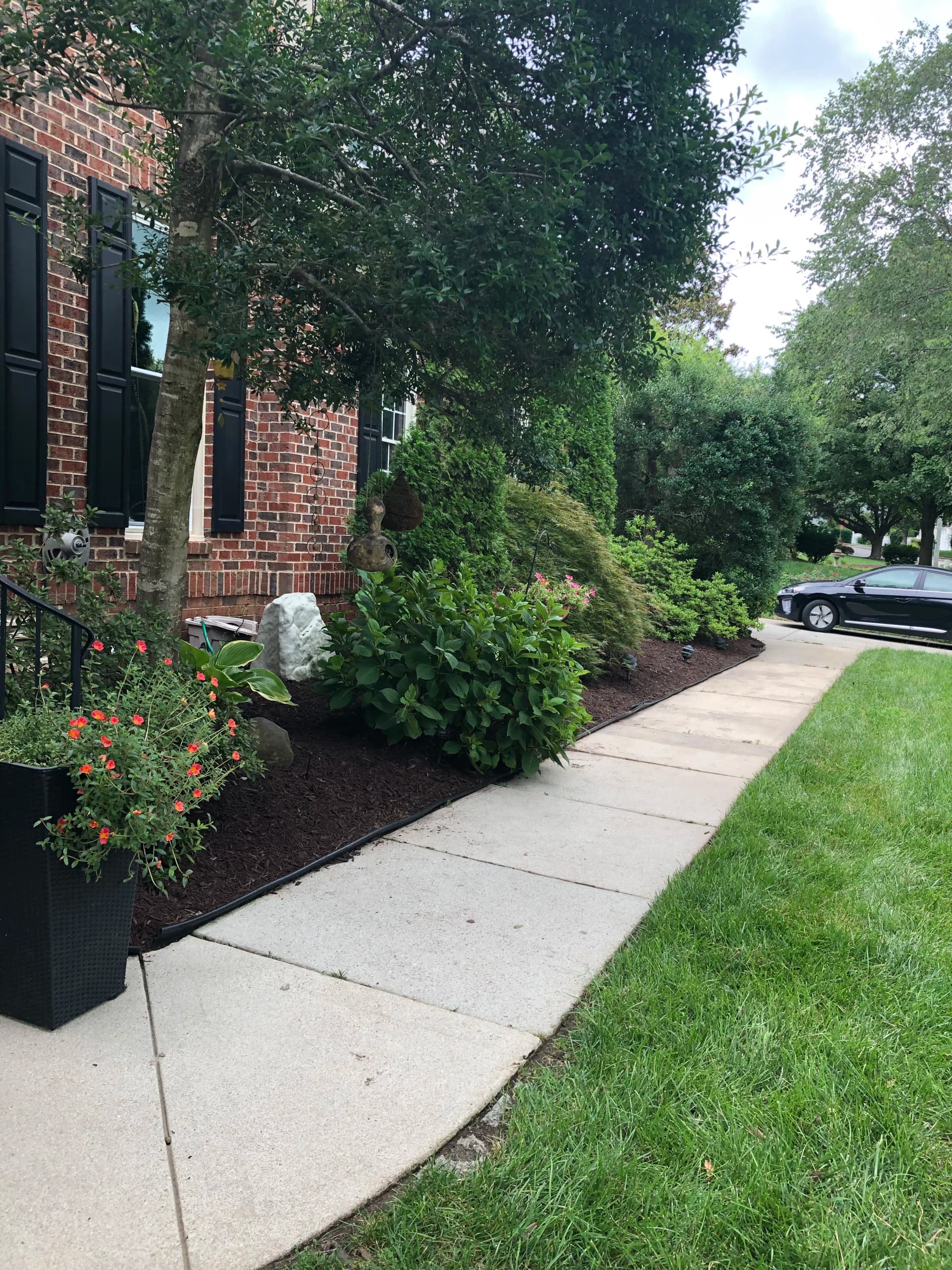 Fresh Mulch and a Full Cleanup That Actually Made a Difference