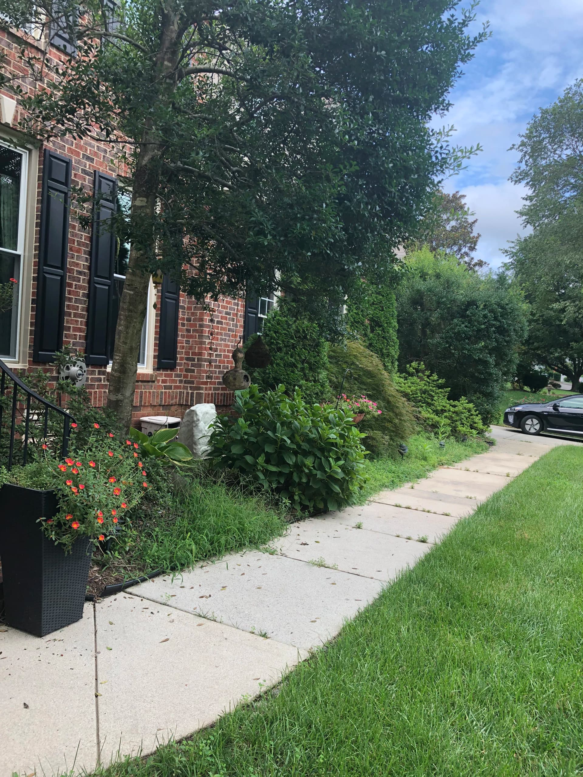 Fresh Mulch and a Full Cleanup That Actually Made a Difference