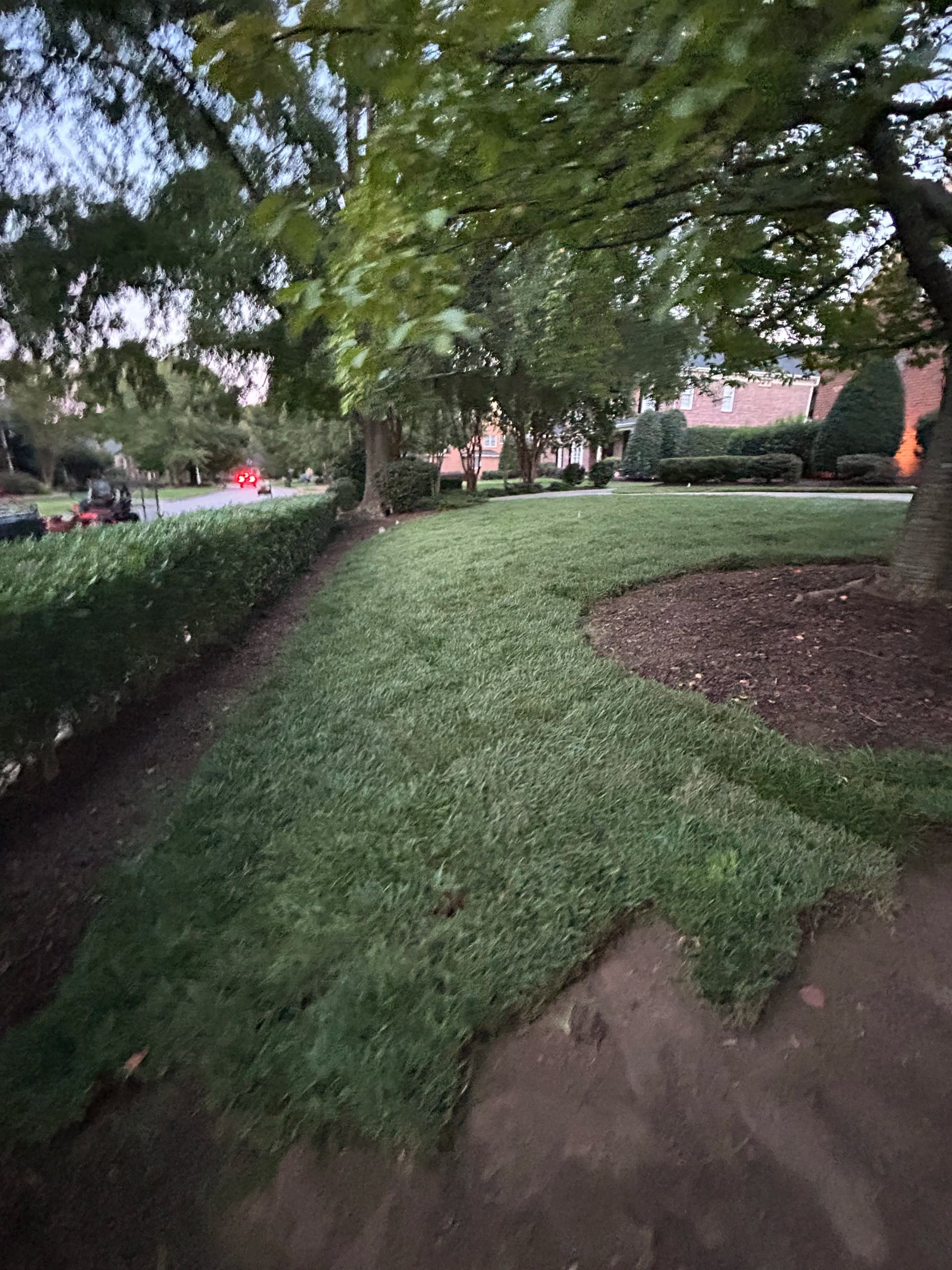Gallery photos for Fresh Sod Install That Made This Yard Sharp Again: Image #1