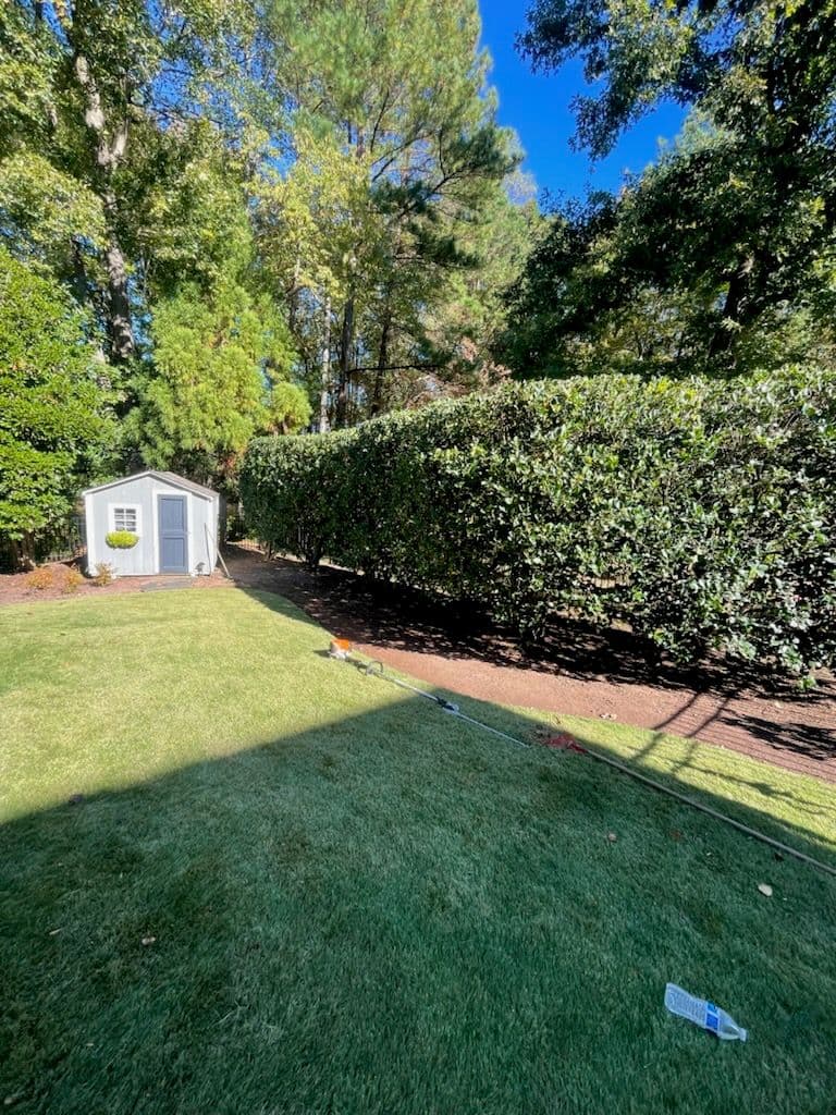 Project Expert Trimming and Pruning for a Perfectly Manicured Look image